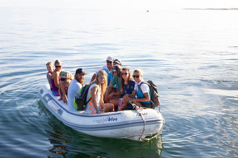 VIP Luxury Chartered Escapes, Exploring The Reef At Your Own Pace - Your Accommodation 43