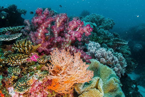 VIP Luxury Chartered Escapes, Exploring The Reef At Your Own Pace - Your Accommodation 33