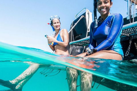 VIP Luxury Chartered Escapes, Exploring The Reef At Your Own Pace - Your Accommodation 24