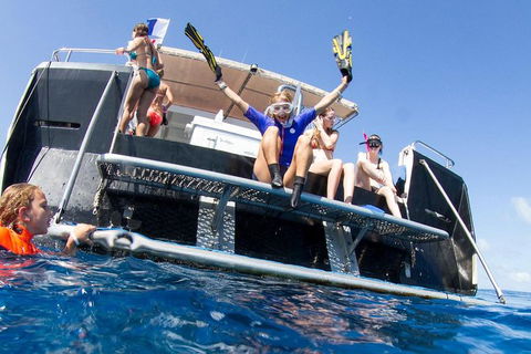 VIP Luxury Chartered Escapes, Exploring The Reef At Your Own Pace - Your Accommodation 25