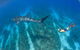 VIP Luxury Chartered Escapes, Exploring The Reef At Your Own Pace - thumb 47
