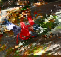 Trees Adventure Lane Poole Park - Treetop  Zipline Experience - Your Accommodation