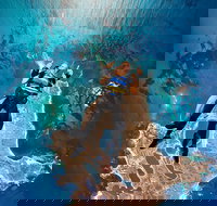 Rottnest Island Tandem Skydive - Your Accommodation