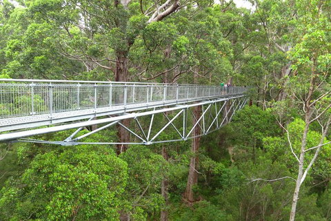 Albany Southwest Wilderness Day Tour - Fly From Perth - Your Accommodation 2