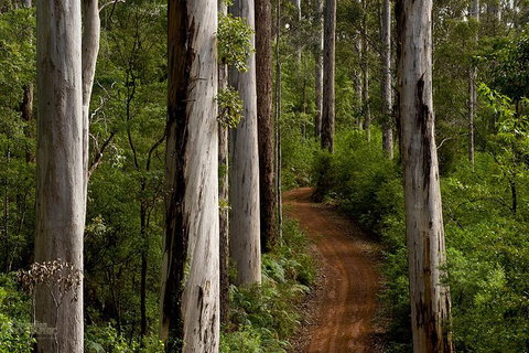 Albany Southwest Wilderness Day Tour - Fly From Perth - Your Accommodation 6