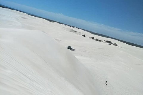 Yanchep & Lancelin - Wildlife, Cave And Sands - Your Accommodation 3