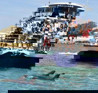 Mandurah Dolphin and Scenic Marine Cruise - Your Accommodation