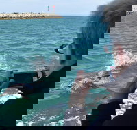 Mandurah Dolphin Island Adventure - Your Accommodation