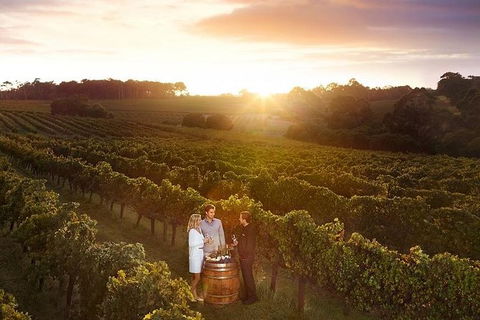 Leeuwin Estate: Food And Wine Experience - Your Accommodation 0