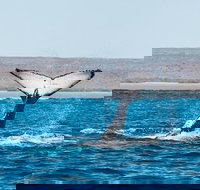 Ningaloo Reef Eco Tours - Your Accommodation