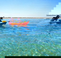 Turtle Tour - Ningaloo Reef Half Day Sea Kayak and Snorkel Tour - Your Accommodation