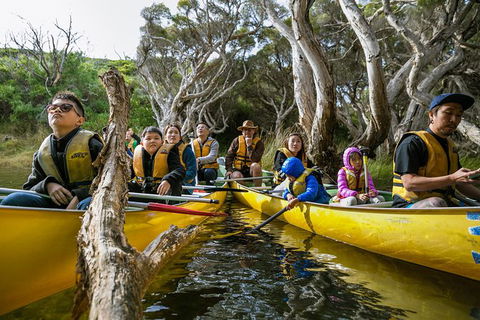 Margaret River Canoe Tour Including Lunch - Your Accommodation 0