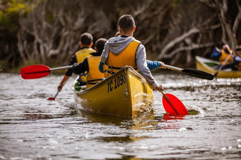 Margaret River Canoe Tour Including Lunch - Your Accommodation 15