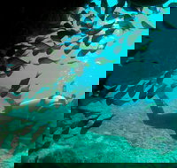 Scuba Dive Ningaloo Reef - Your Accommodation