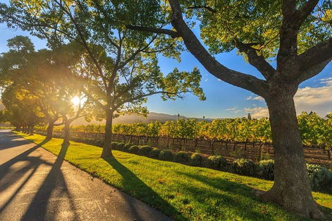 VIP Swan Valley Wine Tour - Premium Small Group Wine & Gourmet Experience - Your Accommodation 1