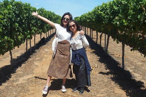 VIP Swan Valley Wine Tour - Premium Small Group Wine & Gourmet Experience - Your Accommodation 3