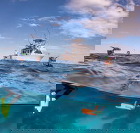 Exclusive Ningaloo Adventure Charter from Exmouth - Your Accommodation