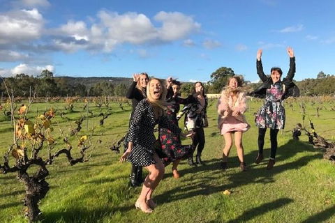 VW Kombi Food, Wine And More Tour (bring The Kids!) - Your Accommodation 3