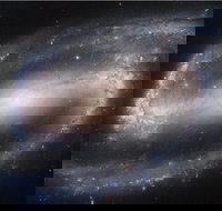 Dusk to Dawn Astronomy Experience at Bullara Station Stay - Your Accommodation