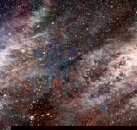 Overnight Astronomy Experience Ningaloo - Yardie Homestead - Your Accommodation