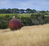 Estate to Plate Montalto Vineyard Gourmet Lunch and Wine-Tasting Tour - Your Accommodation