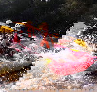 Whitewater Sports rafting on the Yarra river - Your Accommodation