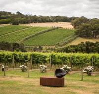 Montalto Vineyard Mornington Peninsula Discovery Wine Tasting and Lunch - Your Accommodation
