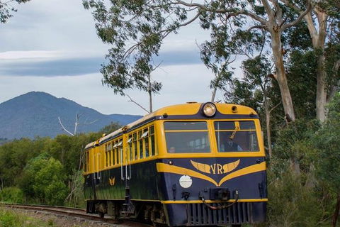 Steam Train, Yarra Valley & Healesville Wildlife Sanctuary Full Day Tour - Your Accommodation 3