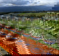 Yarra Valley Local Produce and Wine Tasting Tour - Your Accommodation