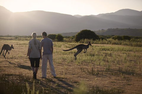 Overnight Daylesford And Macedon Ranges Gourmet Food Trail Tour From Melbourne - Your Accommodation 4