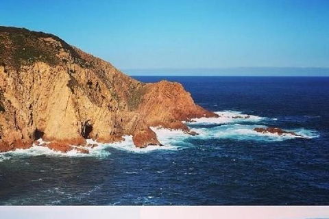 Half Day Phillip Island Woolamai Walking Tour - Your Accommodation 6