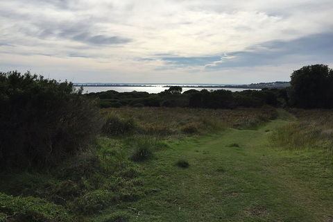 Half Day Phillip Island Woolamai Walking Tour - Your Accommodation 4