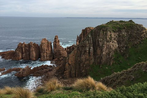 Half Day Phillip Island Woolamai Walking Tour - Your Accommodation 16