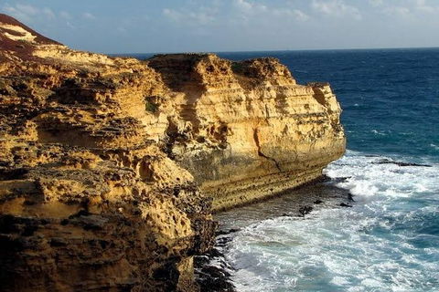 Half Day Phillip Island Woolamai Walking Tour - Your Accommodation 12