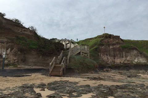 Half Day Phillip Island Woolamai Walking Tour - Your Accommodation 14