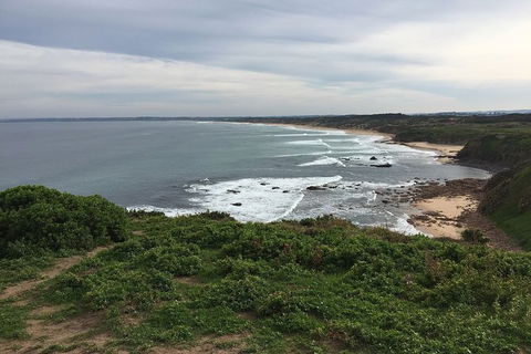 Half Day Phillip Island Woolamai Walking Tour - Your Accommodation 10