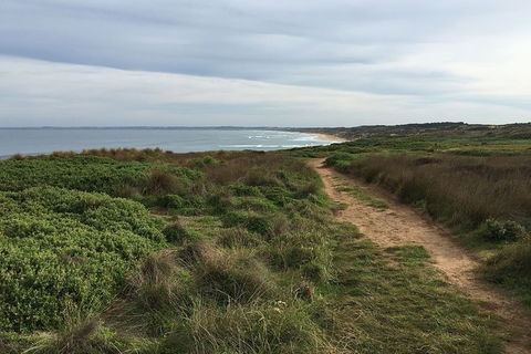 Half Day Phillip Island Woolamai Walking Tour - Your Accommodation 3