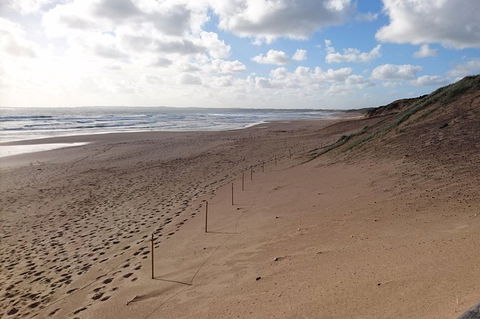 Half Day Phillip Island Woolamai Walking Tour - Your Accommodation 7