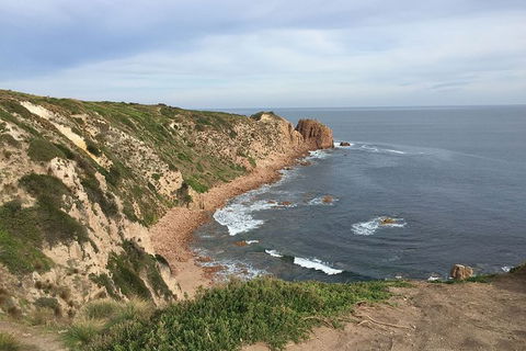 Half Day Phillip Island Woolamai Walking Tour - Your Accommodation 2