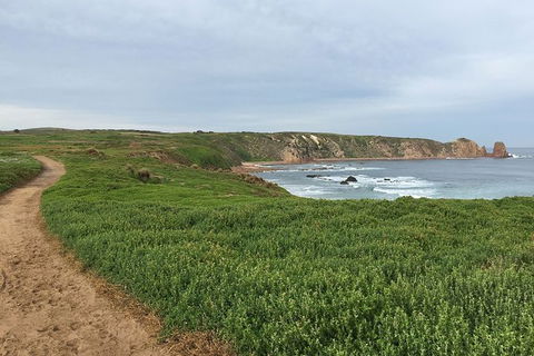 Half Day Phillip Island Woolamai Walking Tour - Your Accommodation 9