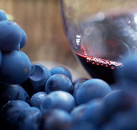 Small Group 6 guests Ultimate Mornington Peninsula Food and Wine - Your Accommodation