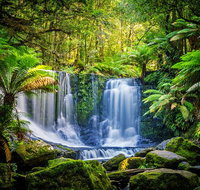 Day Tour in Mt. Field Mt. Wellington Bonorong Wildlife Sanctuary and Richmond - Your Accommodation