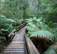 Small-group DayTour from Hobart Hastings Caves Huon Valley and Tahune AirWalk - Your Accommodation