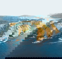 3-Hour Tasman Peninsula Wilderness Cruise from Port Arthur - Your Accommodation