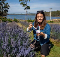 Port Arthur and Lavender Farm Active Day Tour - Your Accommodation