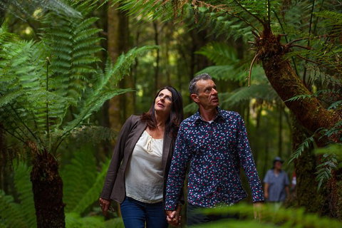 West Coast Wilderness Railway: River And Rainforest From Strahan - Your Accommodation 1