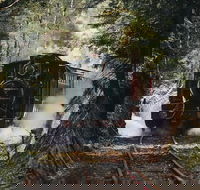 West Coast Wilderness Railway River and Rainforest from Strahan - Your Accommodation