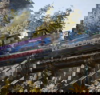 West Coast Wilderness Railway Queenstown Explorer from Strahan - Your Accommodation