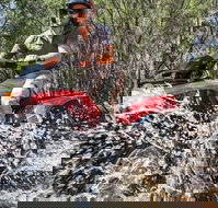 Quad Bike 2-Hour Adventure Freycinet National Park - Your Accommodation
