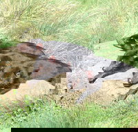 Day Keeper Tour - Your Accommodation